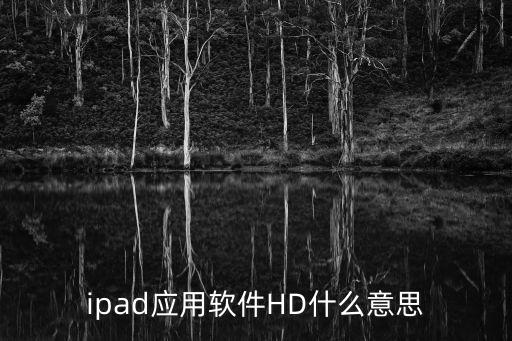ipad應用軟件HD什么意思