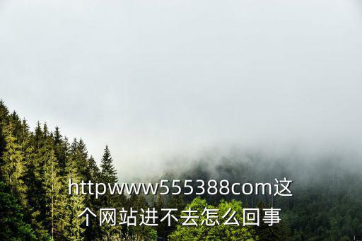 httpwww555388com這個網站進不去怎么回事