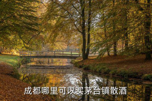成都哪里可以買茅臺鎮散酒