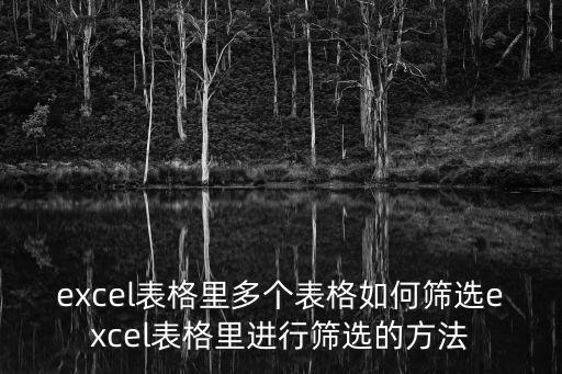表格如何篩選,如何在excel表格中篩選數據?