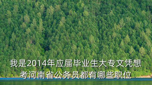 我是2014年應(yīng)屆畢業(yè)生大專文憑想考河南省公務(wù)員都有哪些職位