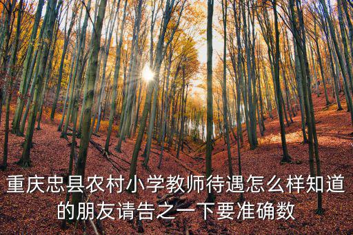 重慶忠縣農(nóng)村小學(xué)教師待遇怎么樣知道的朋友請(qǐng)告之一下要準(zhǔn)確數(shù)