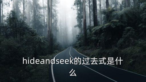 seek過去式,捉迷藏這個游戲叫什么?