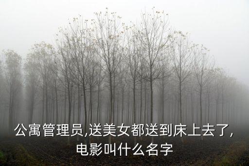 公寓管理員,公寓管理員和公寓費用核算員那個工資高?
