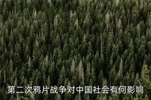 第二次鴉片戰(zhàn)爭對中國社會有何影響