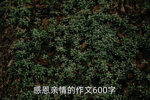 感恩親情的作文600字