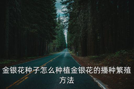 金銀花種子,金銀花種子怎么種好?