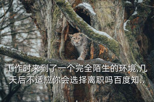 工作時來到了一個完全陌生的環境,幾天后不適應你會選擇離職嗎百度知...