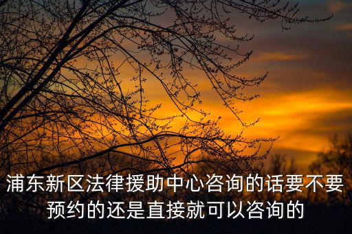 浦東新區(qū)法律援助中心咨詢的話要不要預(yù)約的還是直接就可以咨詢的