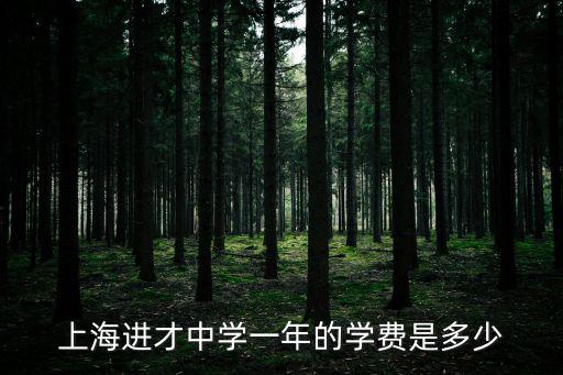 上海進才中學一年的學費是多少