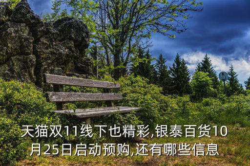 天貓雙11線下也精彩,銀泰百貨10月25日啟動預購,還有哪些信息