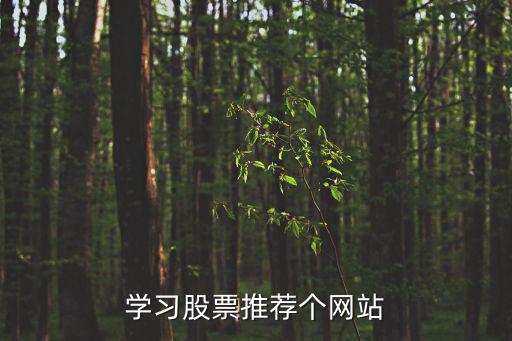股票學習網站,最好的股票學習網站推薦一個吧