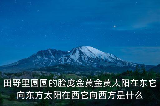 關于太陽的謎語，田野里圓圓的臉龐金黃金黃太陽在東它向東方太陽在西它向西方是什么