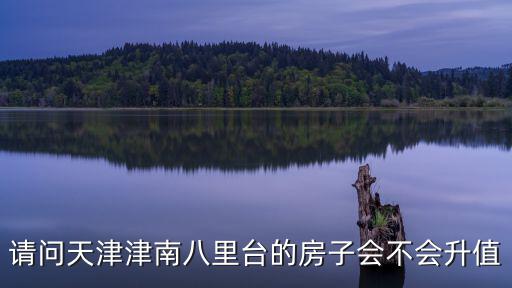 請問天津津南八里臺的房子會(huì)不會(huì)升值