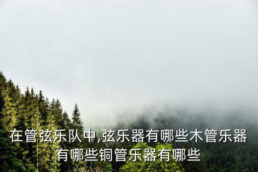 在管弦樂隊中,弦樂器有哪些木管樂器有哪些銅管樂器有哪些