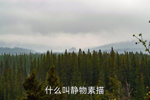 什么叫靜物素描
