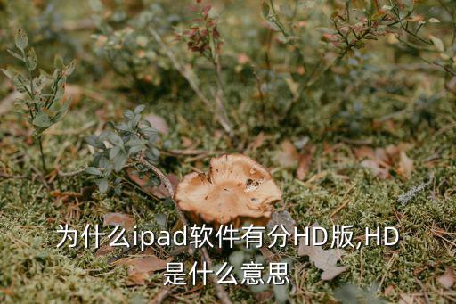 為什么ipad軟件有分HD版,HD是什么意思