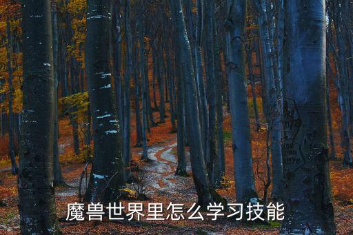 魔獸技能,魔獸世界技能cd時間怎么顯示