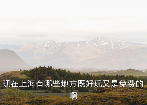現在上海有哪些地方既好玩又是免費的啊