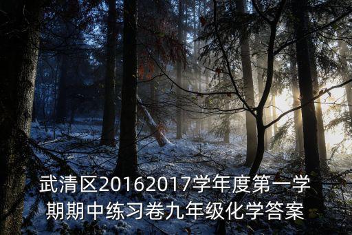 武清區(qū)20162017學(xué)年度第一學(xué)期期中練習(xí)卷九年級(jí)化學(xué)答案
