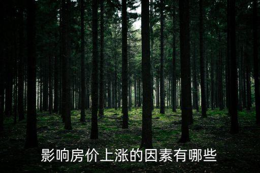 影響房價(jià)上漲的因素有哪些