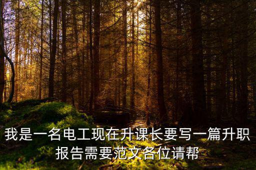 我是一名電工現在升課長要寫一篇升職報告需要范文各位請幫