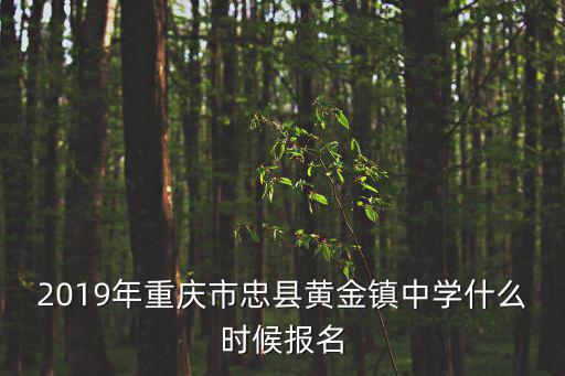 2019年重慶市忠縣黃金鎮中學什么時候報名
