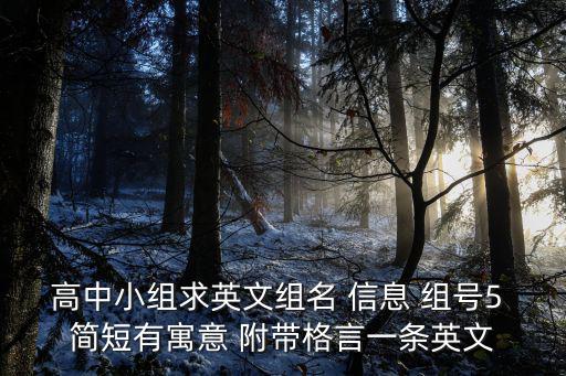 高中小組求英文組名 信息 組號5 簡短有寓意 附帶格言一條英文