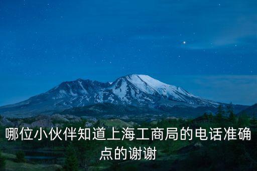 哪位小伙伴知道上海工商局的電話準確點的謝謝