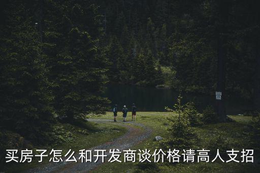 買房子怎么和開發商談價格請高人支招