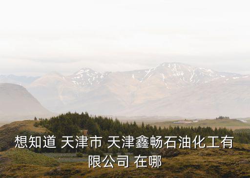 想知道 天津市 天津鑫暢石油化工有限公司 在哪