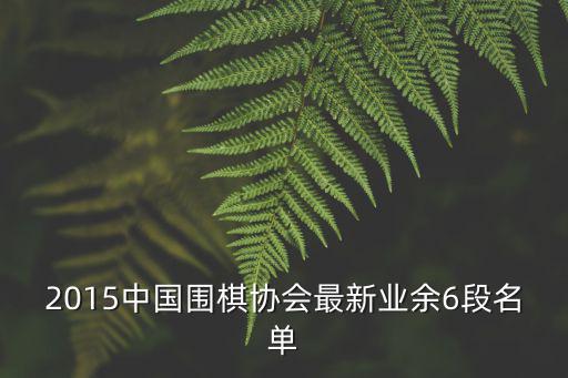 2015中國圍棋協(xié)會(huì)最新業(yè)余6段名單