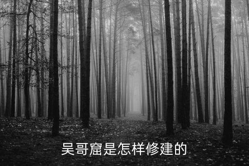 吳哥城,雖戰(zhàn)爭19年吳哥窟大部分建筑仍未完成