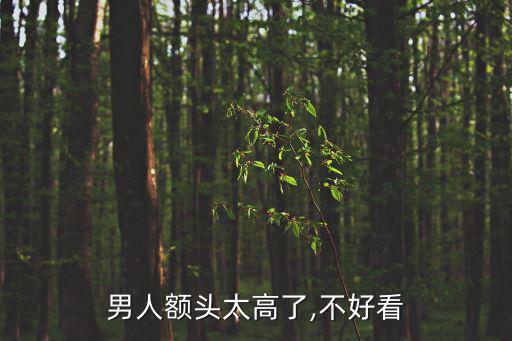 男人額頭太高了,不好看