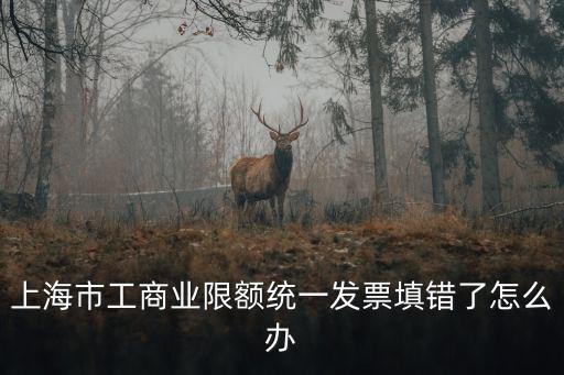 上海市工商業限額統一發票填錯了怎么辦
