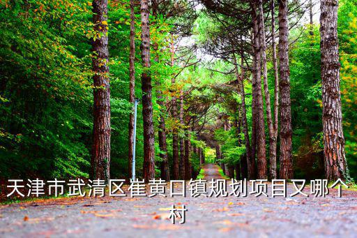 天津市武清前沙陀村有多少人，天津市武清區(qū)人口在3萬左右的鄉(xiāng)鎮(zhèn)有哪些