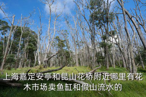 上海嘉定安亭和昆山花橋附近哪里有花木市場賣魚缸和假山流水的