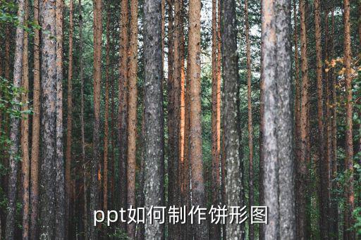 ppt如何制作餅形圖