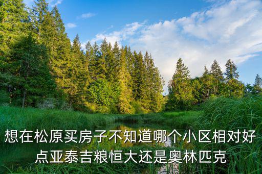 想在松原買房子不知道哪個小區相對好點亞泰吉糧恒大還是奧林匹克