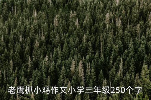 老鷹抓小雞作文小學三年級250個字