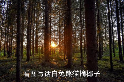 看圖寫話白兔熊貓摘椰子