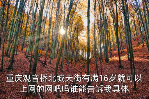 重慶觀音橋北城天街有滿16歲就可以上網(wǎng)的網(wǎng)吧嗎誰能告訴我具體