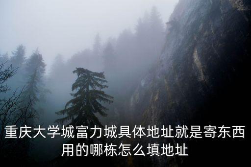 重慶大學城富力城具體地址就是寄東西用的哪棟怎么填地址
