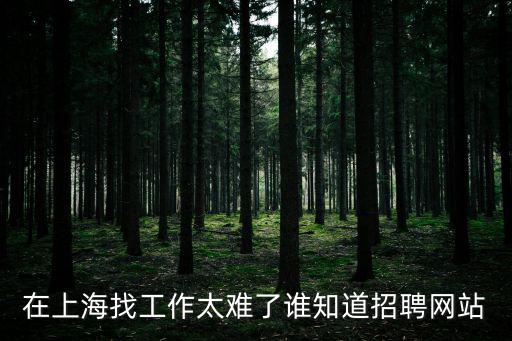 上海公共招聘網app，在上海找工作太難了誰知道招聘網站