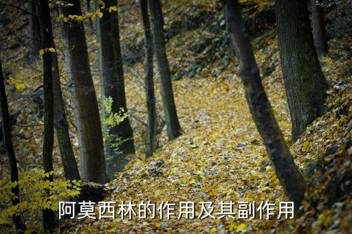 阿莫西林的副作用,阿莫西林副作用:胃腸道反應(yīng)、過敏反應(yīng)