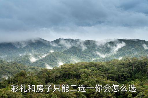 房價和彩禮哪個更高，嫁愛情還是房子