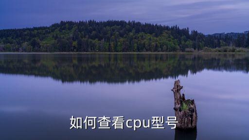 如何查看cpu型號