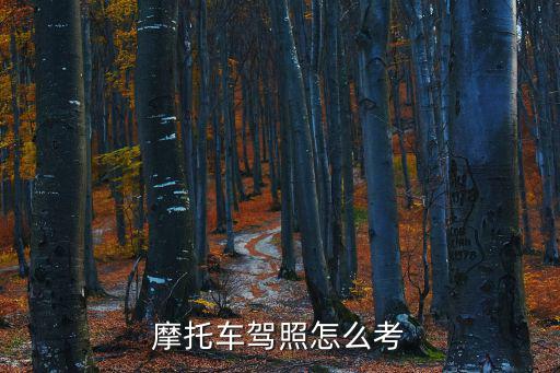 摩托車駕照怎么考