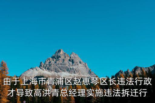 青浦區原區長舉報，趙恵琴區長利用上海市人民政府批復滬府201196號文精神進行大