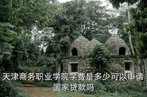 天津市職業(yè)學院紅橋分院學費多少，天津職業(yè)大學是公辦還是民辦一年學費多少